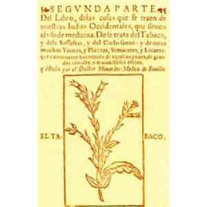 Click para ampliar. Pulsa en el nombre para ver la ficha. Tabaco_Ilustración de Monardes